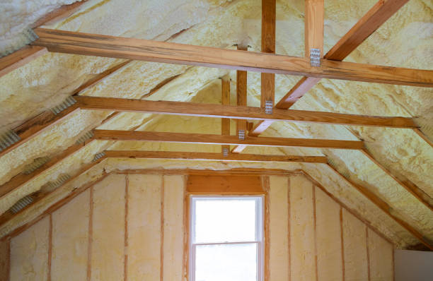 Best Insulation for New Construction  in Ohatchee, AL