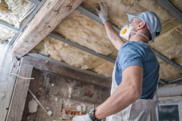 Best Spray Foam Insulation  in Ohatchee, AL