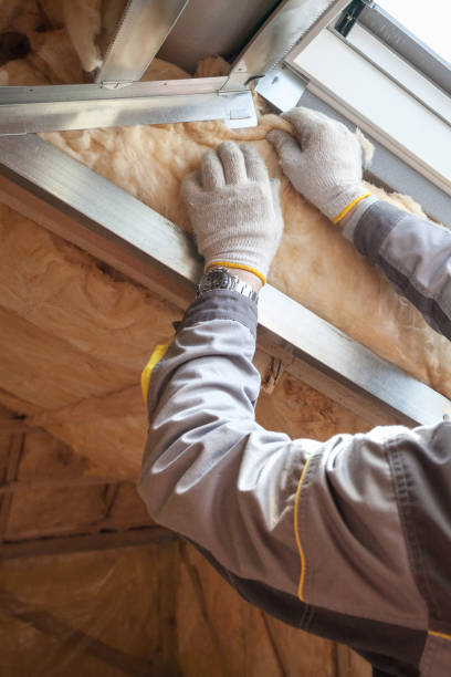 Best Residential Insulation Services  in Ohatchee, AL