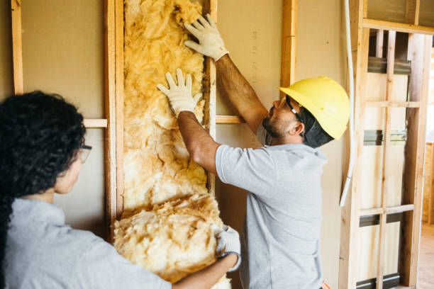 Garage Insulation Installation in Ohatchee, AL