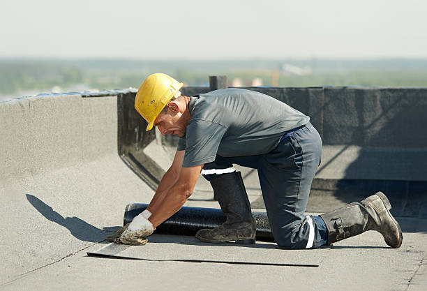 Best Attic Insulation Installation  in Ohatchee, AL